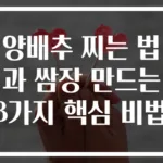 양배추 찌는 법과 쌈장 만드는 3가지 핵심 비법