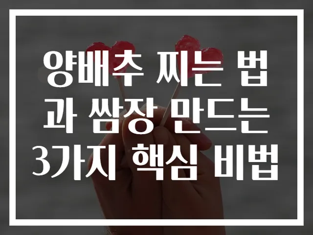 양배추 찌는 법과 쌈장 만드는 3가지 핵심 비법