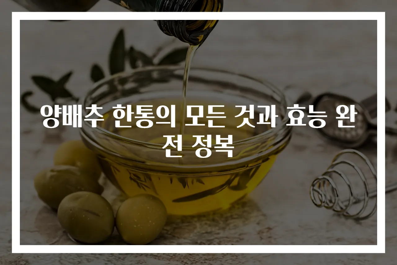 양배추 한통의 모든 것과 효능 완전 정복