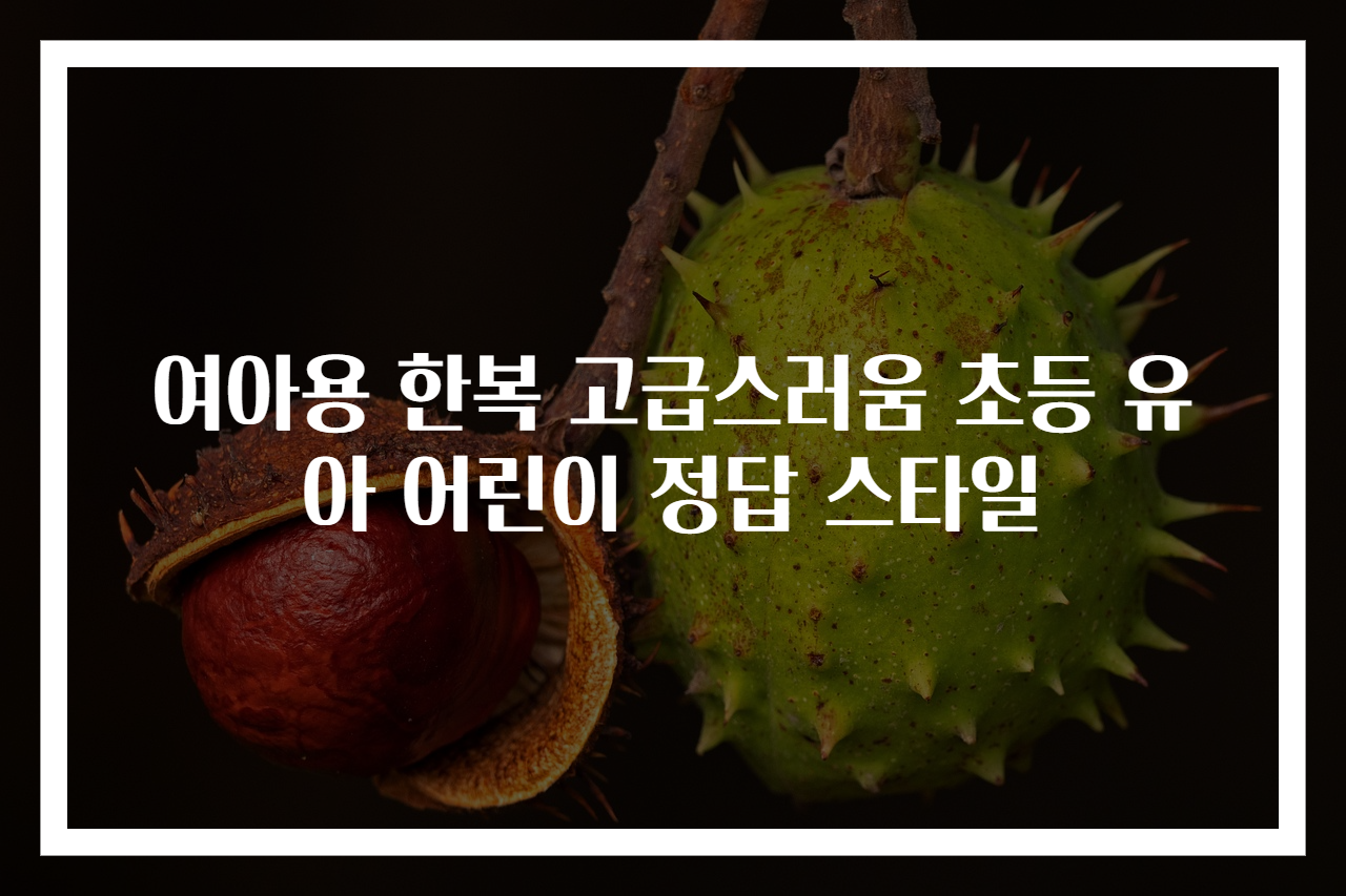 여아용 한복 고급스러움 초등 유아 어린이 정답 스타일