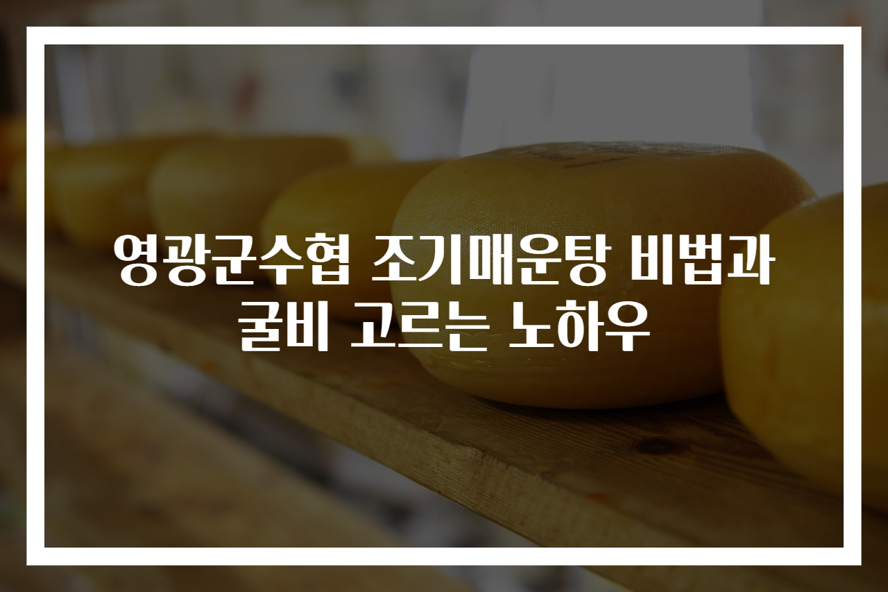 영광군수협 조기매운탕 비법과 굴비 고르는 노하우