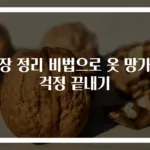 옷장 정리 비법으로 옷 망가짐 걱정 끝내기