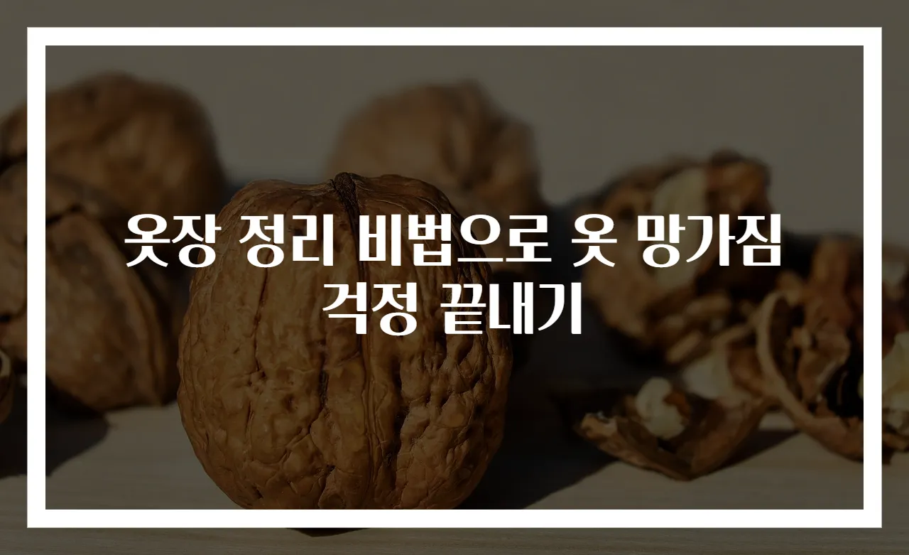 옷장 정리 비법으로 옷 망가짐 걱정 끝내기
