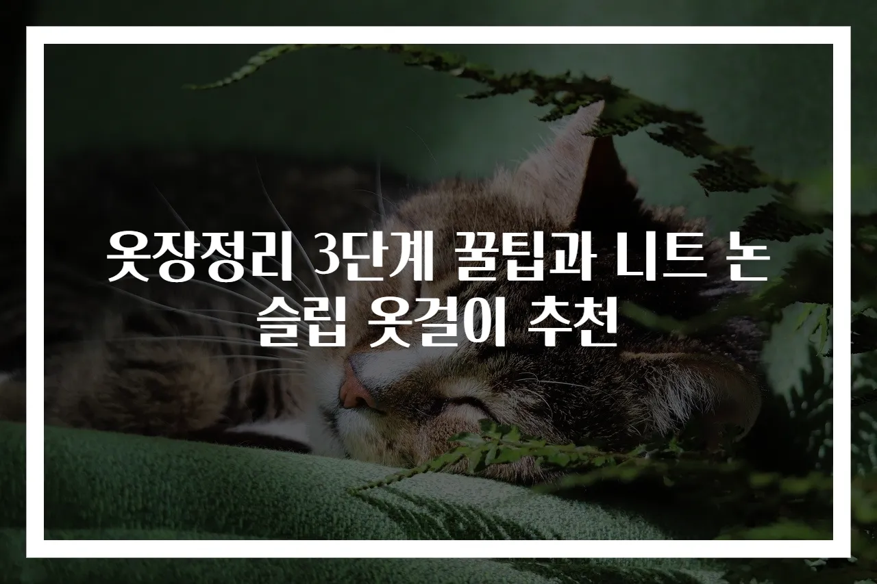 옷장정리 3단계 꿀팁과 니트 논슬립 옷걸이 추천