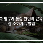 왼쪽 옆구리 통증 원인과 근육 신장 소화기 구별법