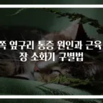 왼쪽 옆구리 통증 원인과 근육 신장 소화기 구별법