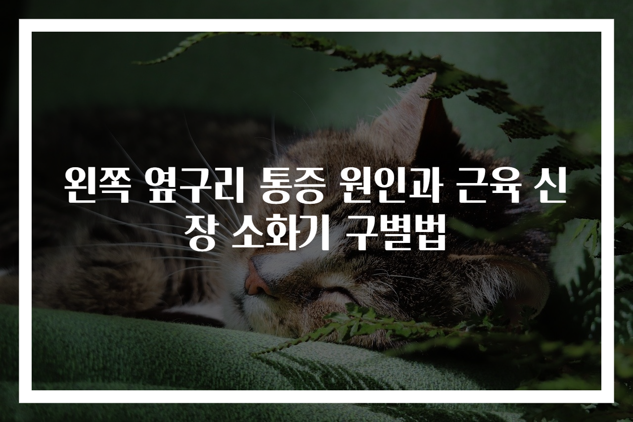 왼쪽 옆구리 통증 원인과 근육 신장 소화기 구별법