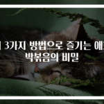 이 3가지 방법으로 즐기는 애호박볶음의 비밀