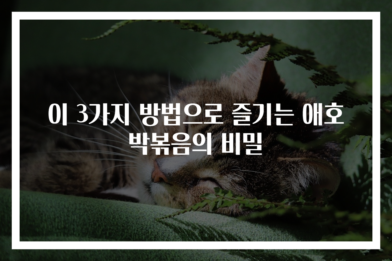 이 3가지 방법으로 즐기는 애호박볶음의 비밀