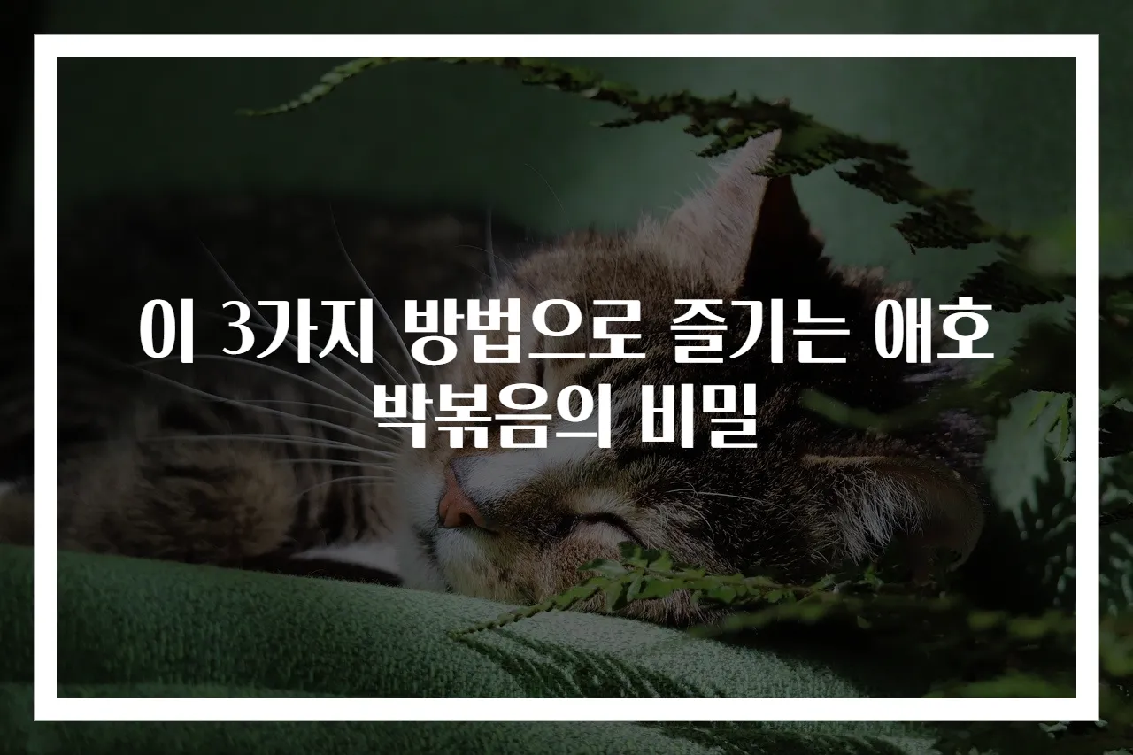 이 3가지 방법으로 즐기는 애호박볶음의 비밀