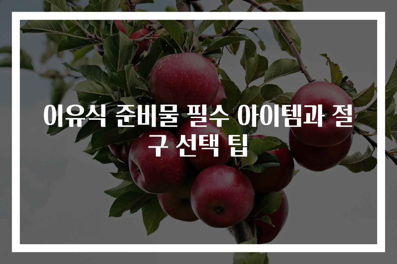 이유식 준비물 필수 아이템과 절구 선택 팁