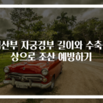 임산부 자궁경부 길이와 수축증상으로 조산 예방하기