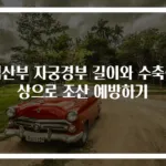 임산부 자궁경부 길이와 수축증상으로 조산 예방하기