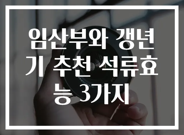임산부와 갱년기 추천 석류효능 3가지