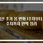 임신 초기 몸 변화 1주차부터 4주차까지 완벽 정리