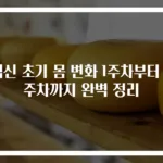 임신 초기 몸 변화 1주차부터 4주차까지 완벽 정리