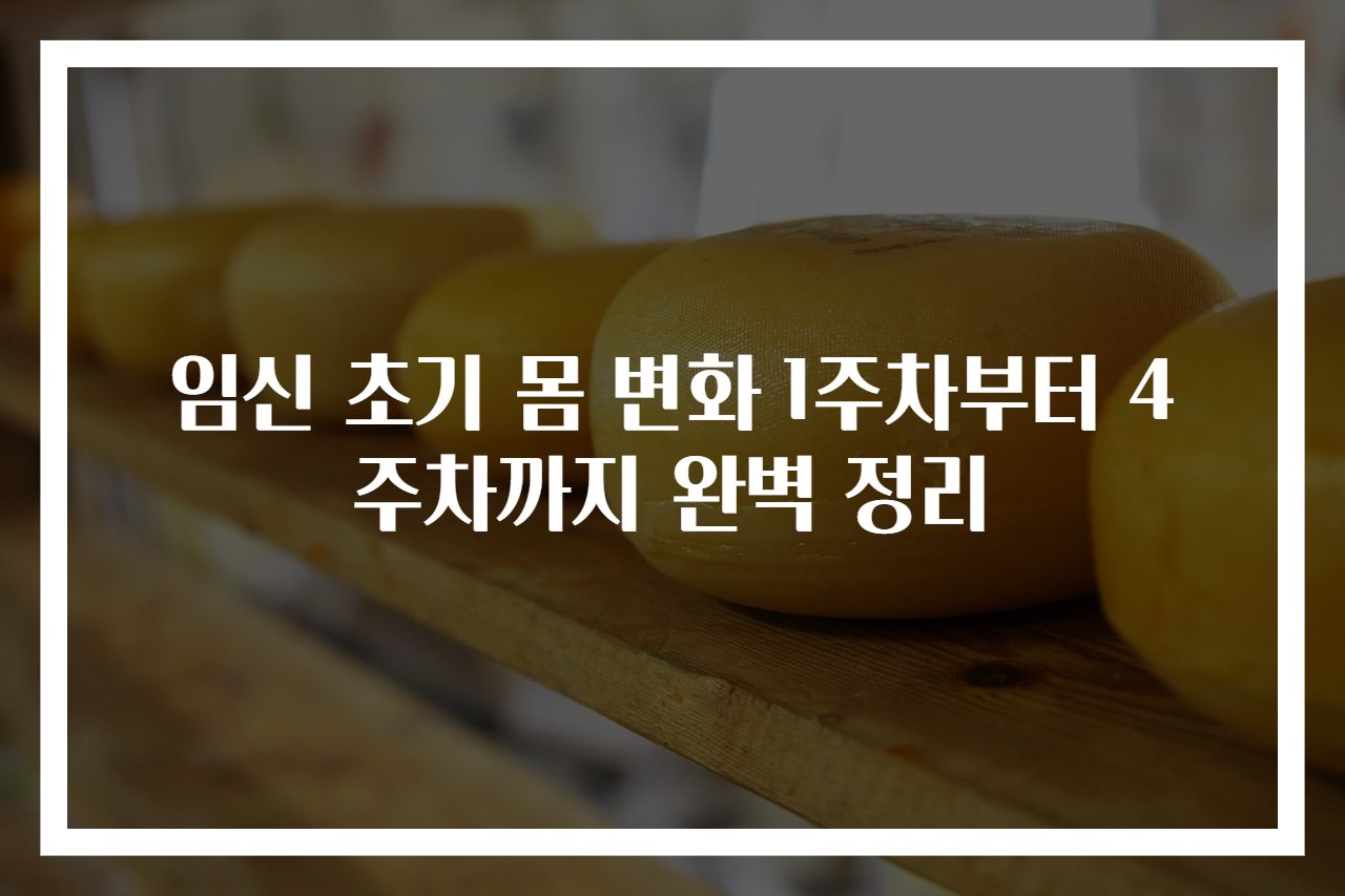 임신 초기 몸 변화 1주차부터 4주차까지 완벽 정리