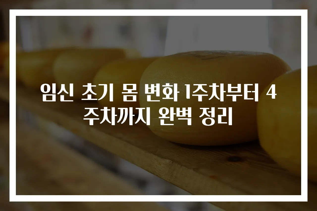 임신 초기 몸 변화 1주차부터 4주차까지 완벽 정리