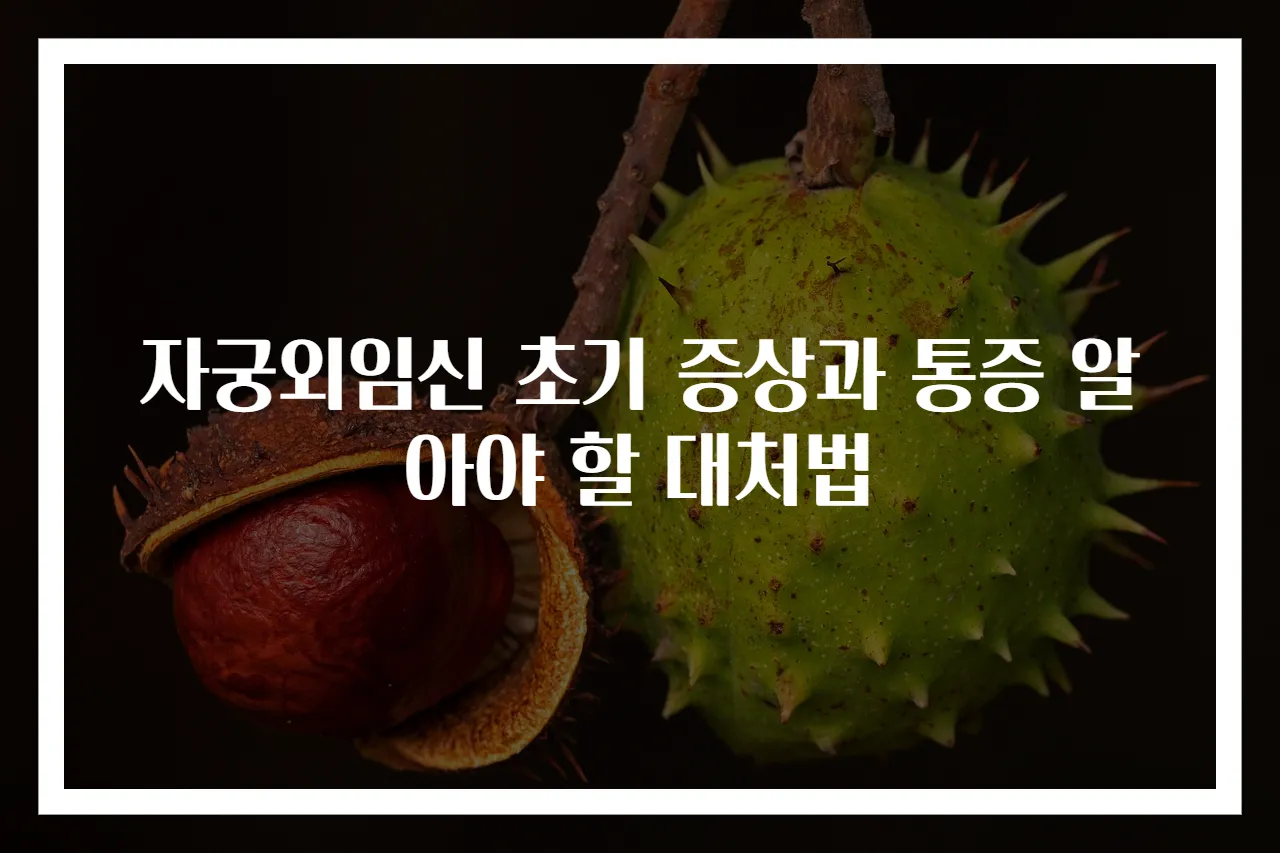자궁외임신 초기 증상과 통증 알아야 할 대처법