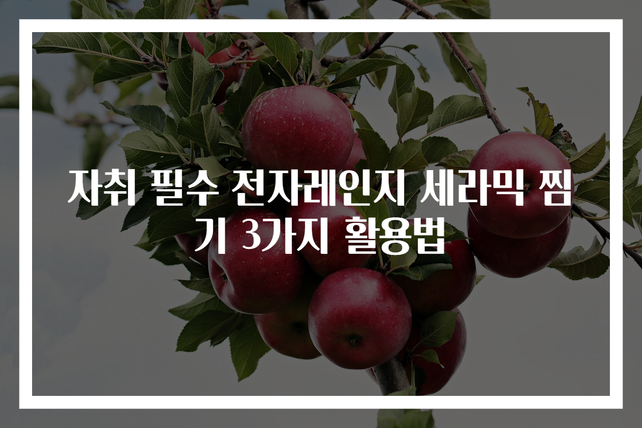 자취 필수 전자레인지 세라믹 찜기 3가지 활용법