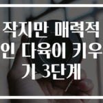 작지만 매력적인 다육이 키우기 3단계