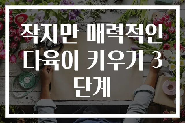 작지만 매력적인 다육이 키우기 3단계