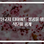 저탄고지 다이어트 성공을 위한 식단표 공개