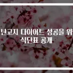 저탄고지 다이어트 성공을 위한 식단표 공개