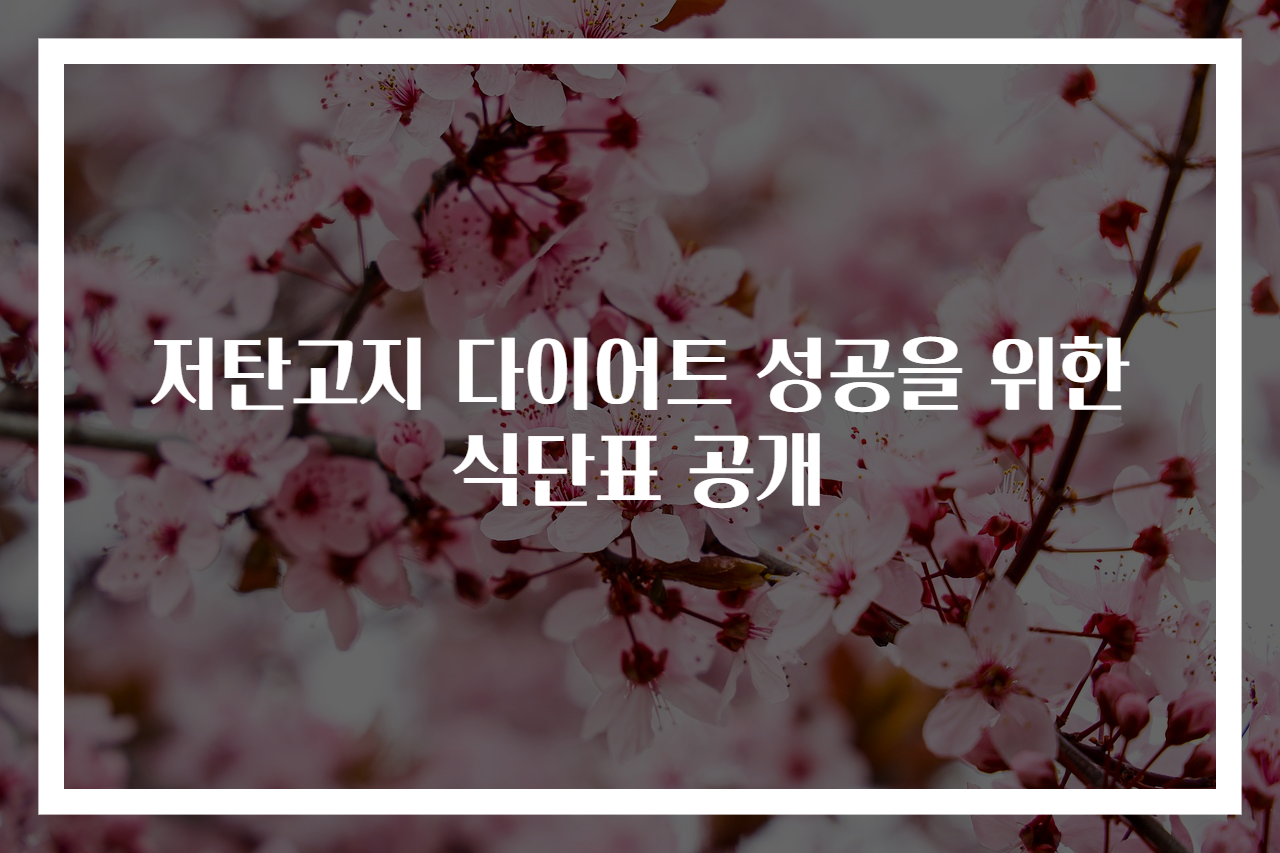 저탄고지 다이어트 성공을 위한 식단표 공개