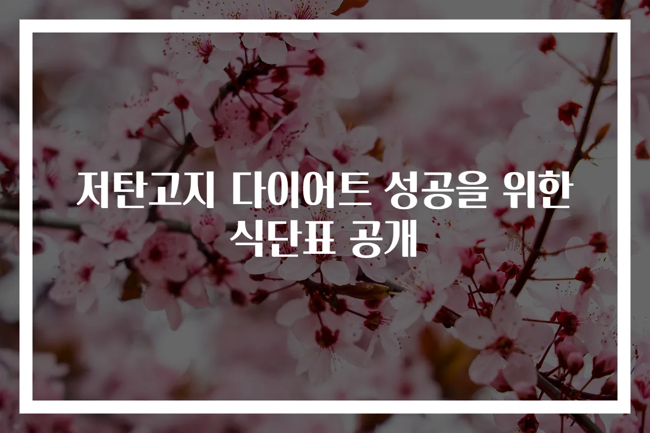 저탄고지 다이어트 성공을 위한 식단표 공개