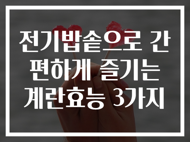 전기밥솥으로 간편하게 즐기는 계란효능 3가지