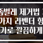 좀벌레 제거법 3가지 라벤더 향기로 깔끔하게