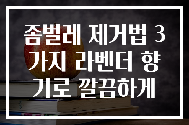 좀벌레 제거법 3가지 라벤더 향기로 깔끔하게
