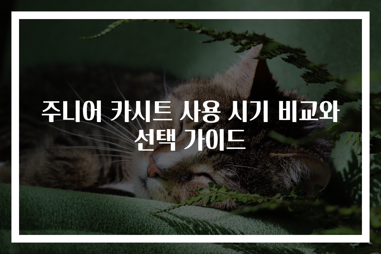 주니어 카시트 사용 시기 비교와 선택 가이드