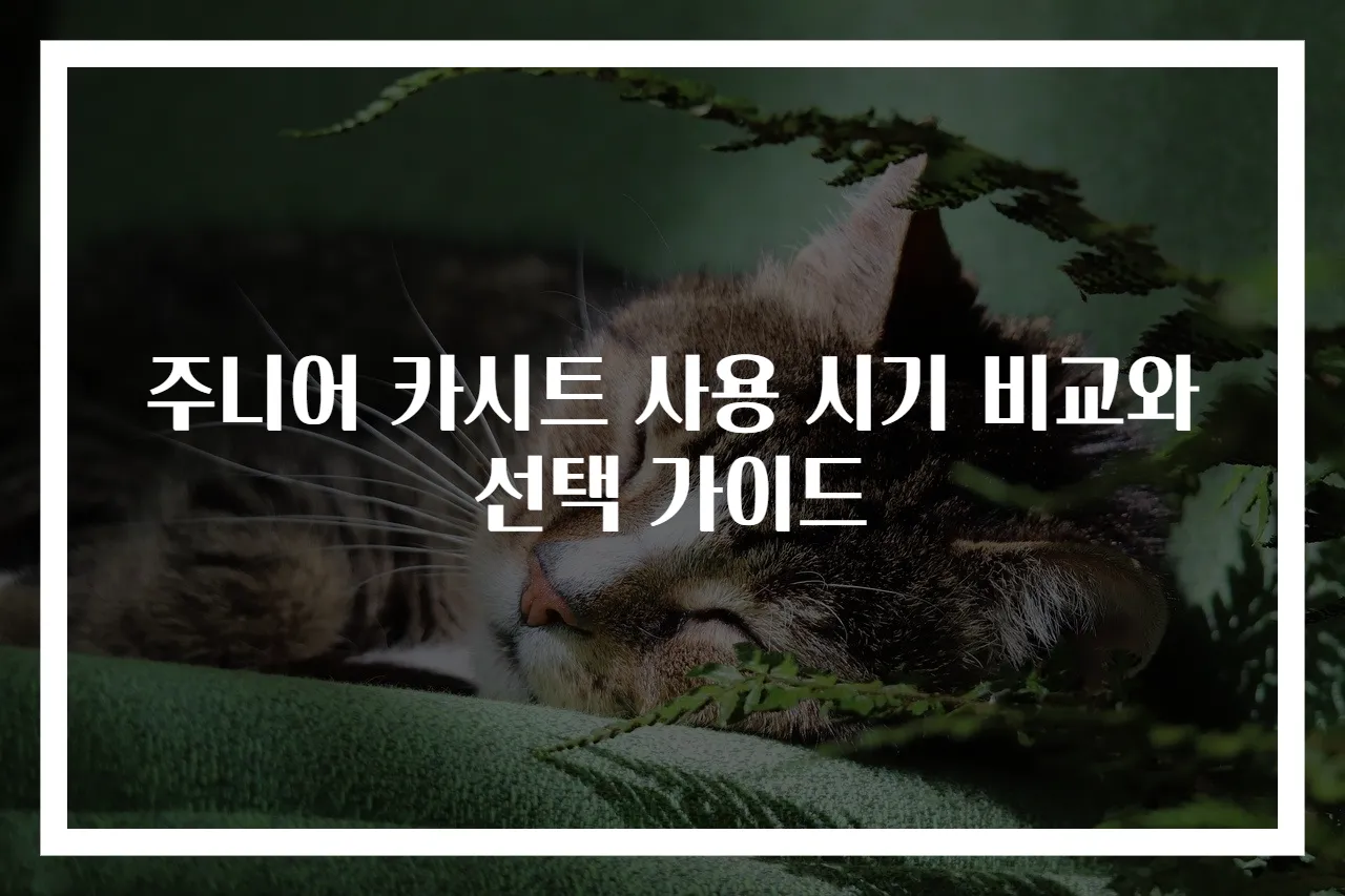 주니어 카시트 사용 시기 비교와 선택 가이드