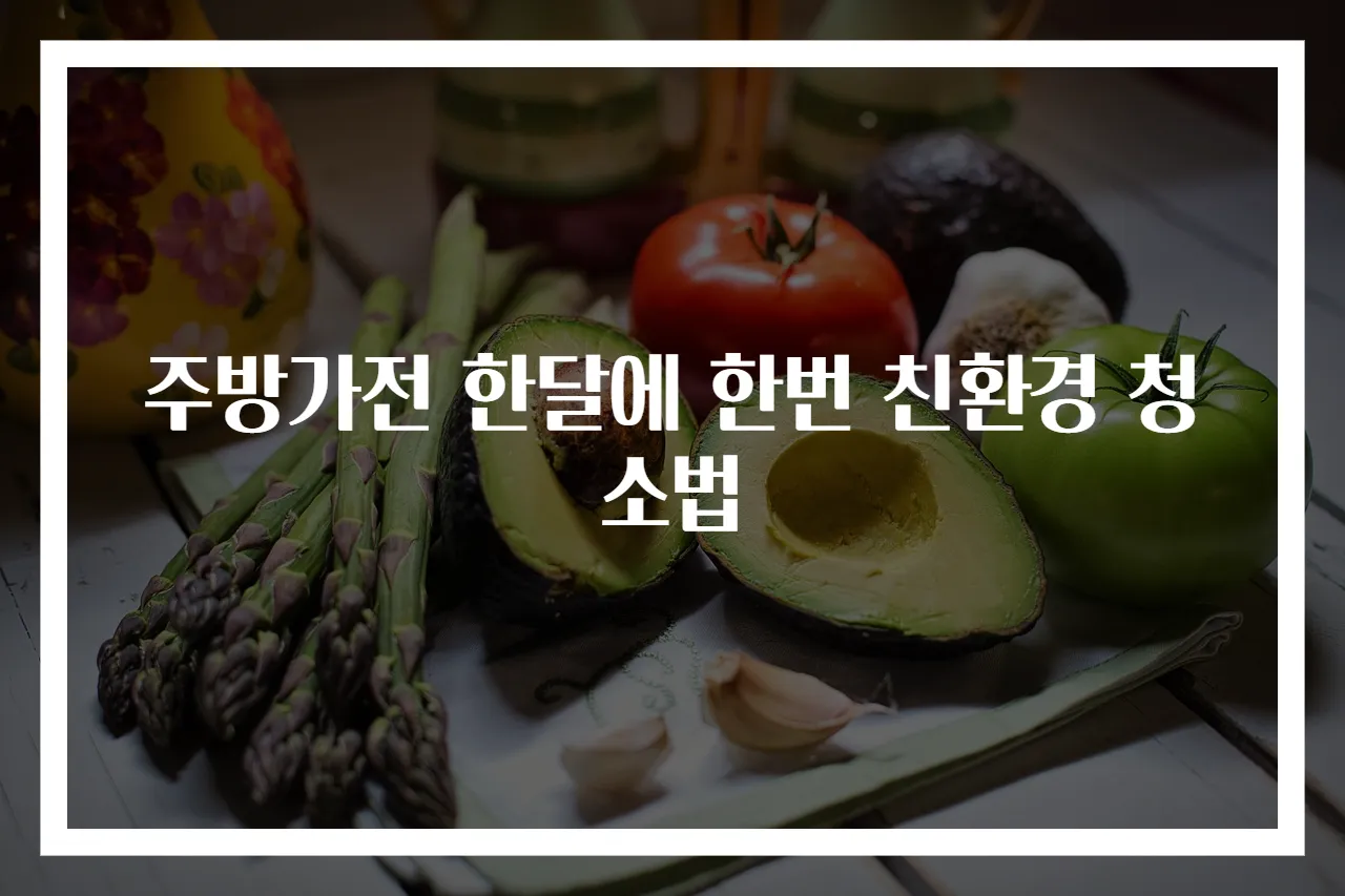주방가전 한달에 한번 친환경 청소법