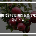 집밥 추천 김치제육볶음 3가지 양념 비법