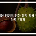 집안 정리를 위한 문짝 활용 노하우 5가지