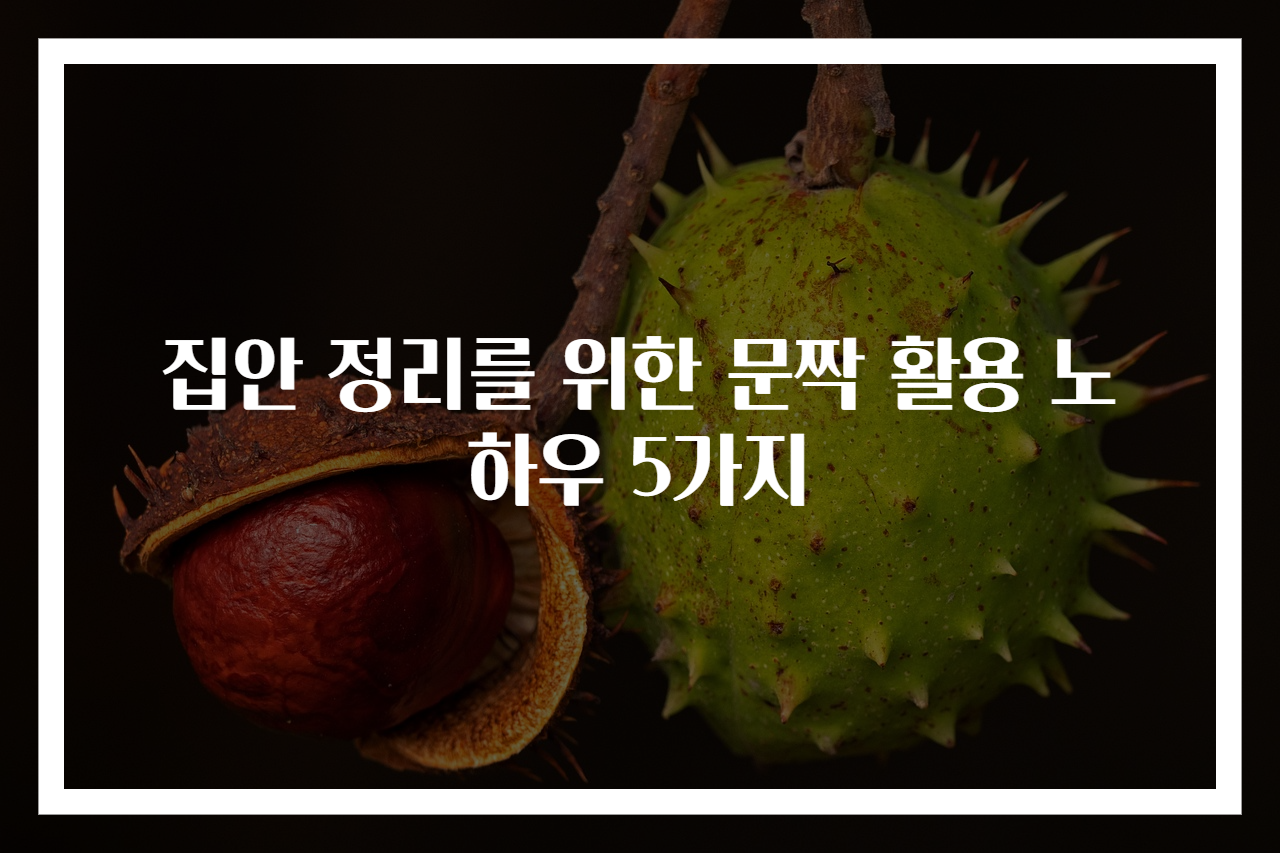 집안 정리를 위한 문짝 활용 노하우 5가지