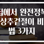 집에서 완전정복 상추겉절이 비법 3가지