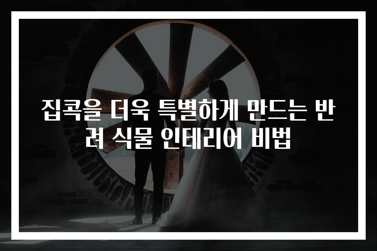 집콕을 더욱 특별하게 만드는 반려 식물 인테리어 비법