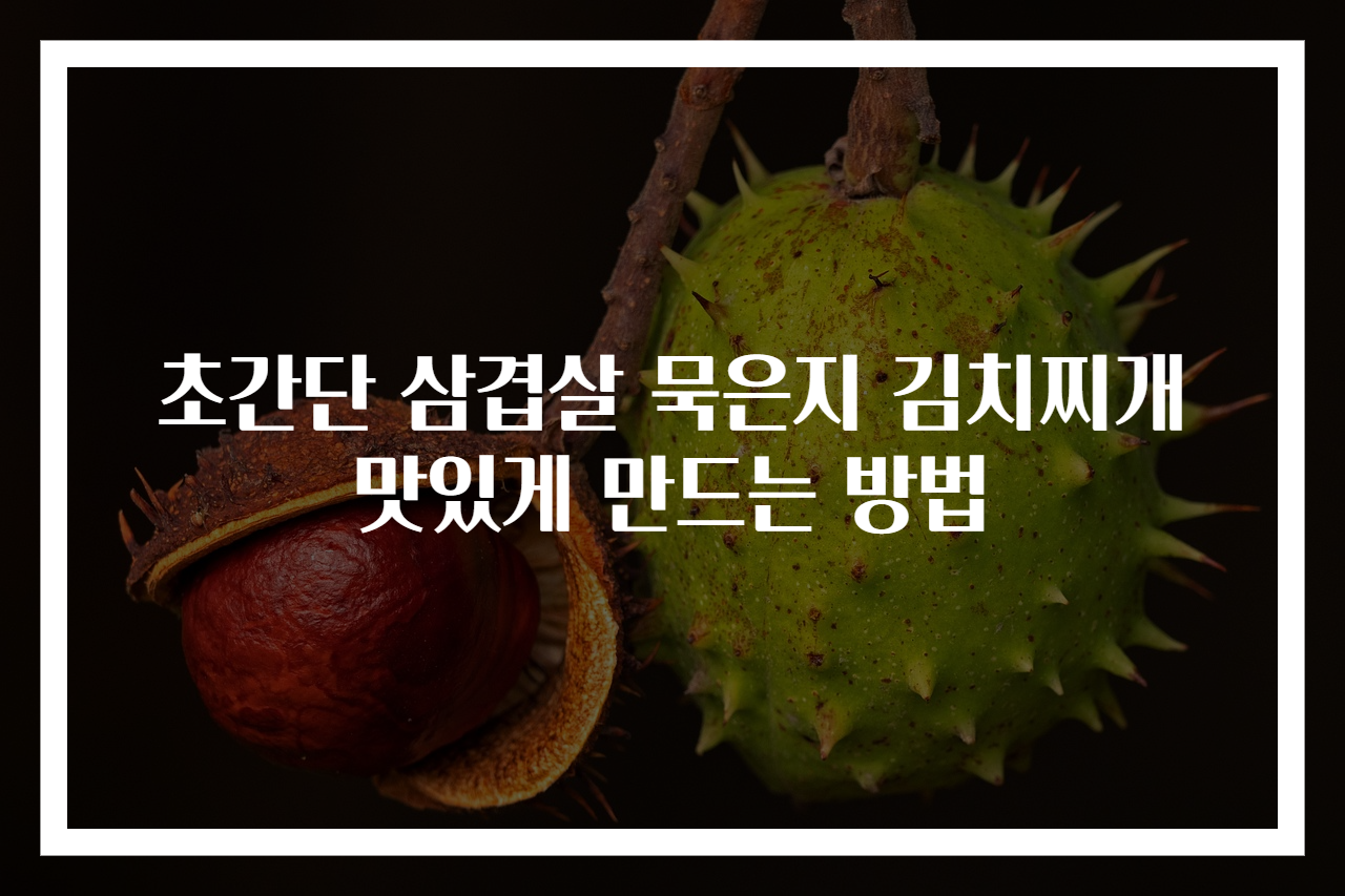 초간단 삼겹살 묵은지 김치찌개 맛있게 만드는 방법