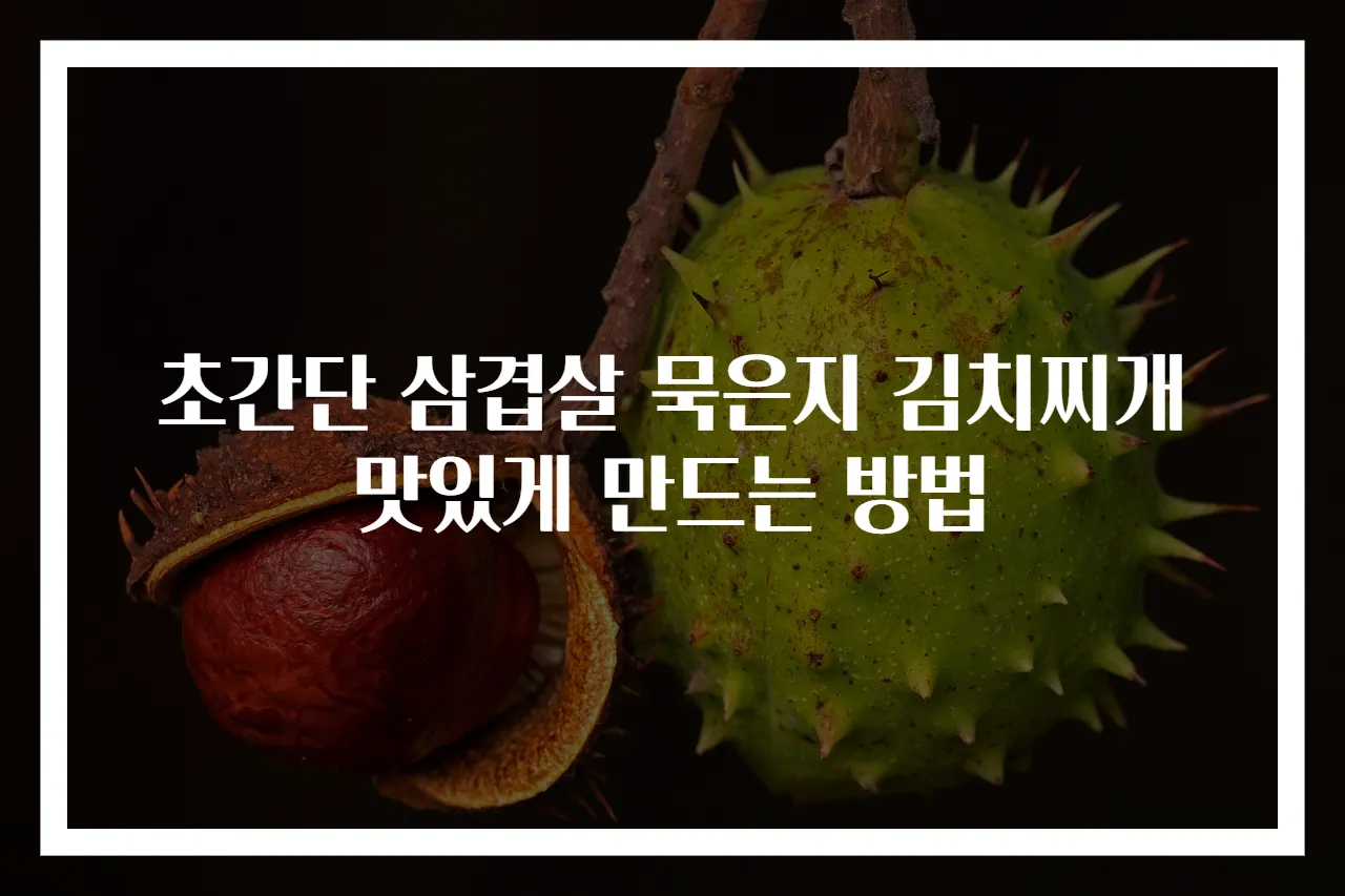 초간단 삼겹살 묵은지 김치찌개 맛있게 만드는 방법