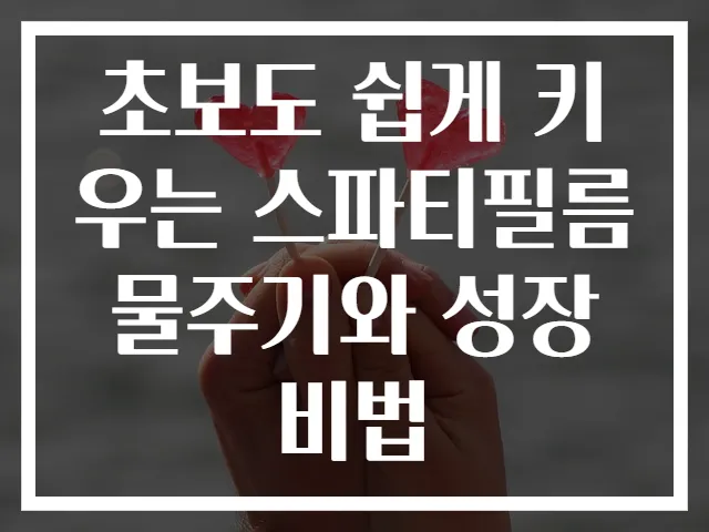 초보도 쉽게 키우는 스파티필름 물주기와 성장 비법