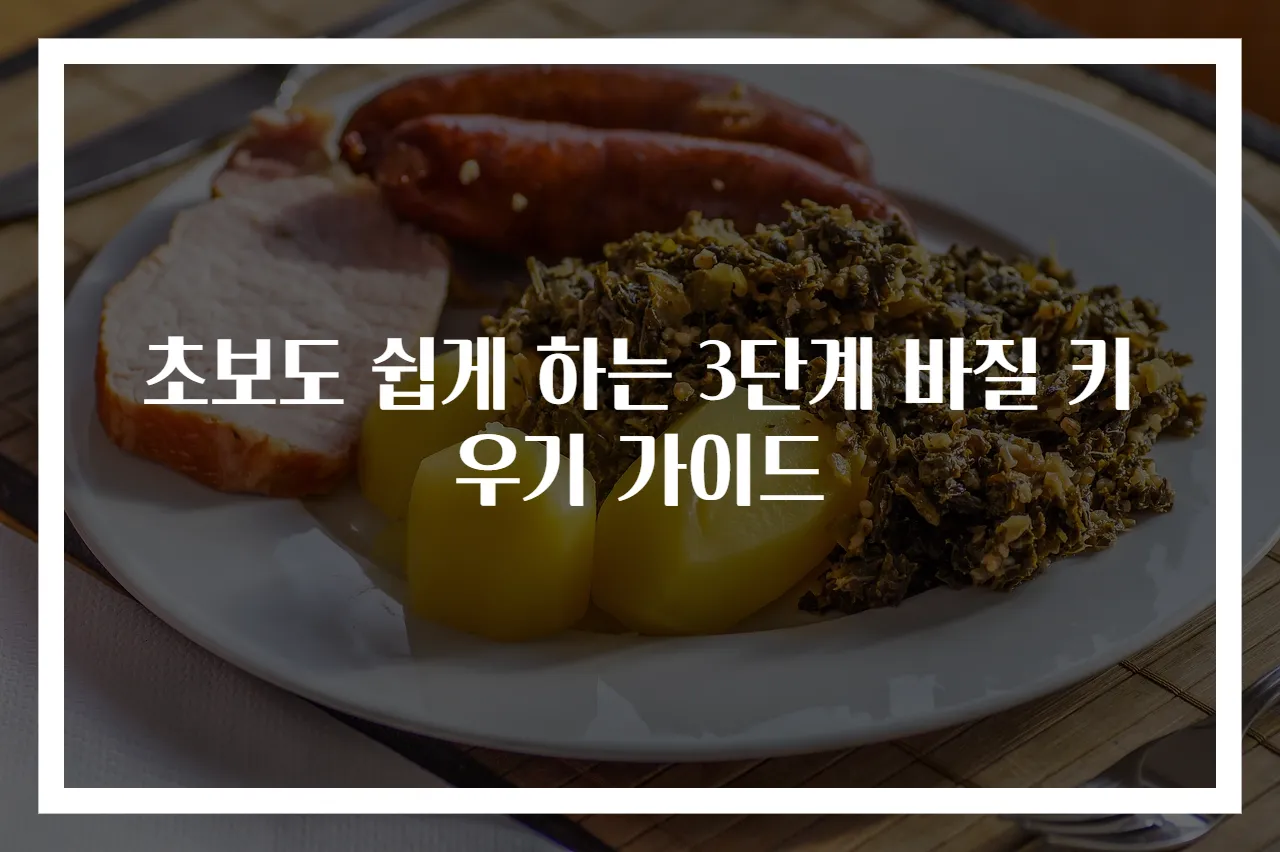 초보도 쉽게 하는 3단계 바질 키우기 가이드