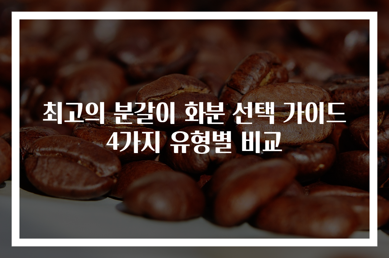 최고의 분갈이 화분 선택 가이드 4가지 유형별 비교