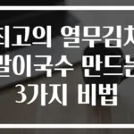 최고의 열무김치말이국수 만드는 3가지 비법