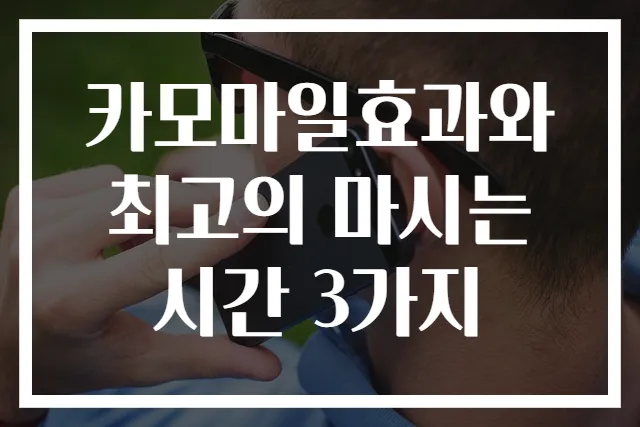 카모마일효과와 최고의 마시는 시간 3가지