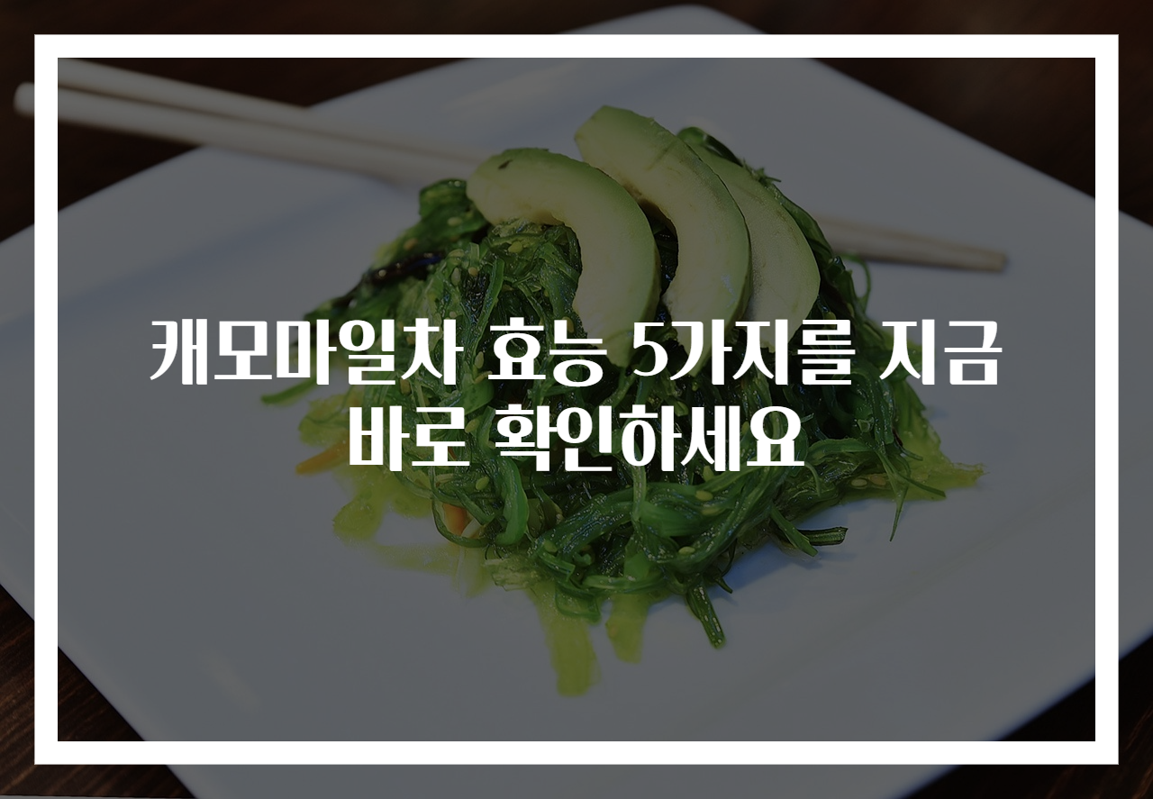 캐모마일차 효능 5가지를 지금 바로 확인하세요