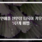 파인애플 선인장 다육이 키우는 5단계 비법